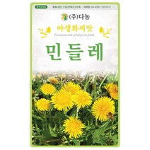 자운영 2g - 야생화 씨앗 꽃씨 씨 꽃씨앗 자운영씨앗 자운영씨 다년생 여러해살이 야생화씨앗 꽃 연화초 홍화채 쇄미제 야화생, 21_다농_민들레(500립)