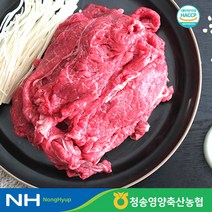청송영양축협 1등급 명품 한우 불고기 설도 300g, 단품