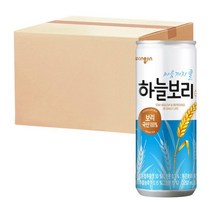 웅진 하늘보리 250mL 30캔