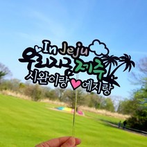 아티파티토퍼 너랑나랑 여행 제주 제주도 감성 소품 토퍼 피켓 픽