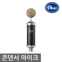 BLUE BABY BOTTLE SL 보컬 및 레코딩용 유선마이크 실버블랙