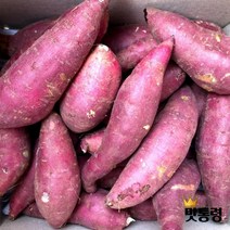 [맛통령] 베니하루카 꿀고구마 호박고구마, 꿀고구마 (특상) 5kg, 1개