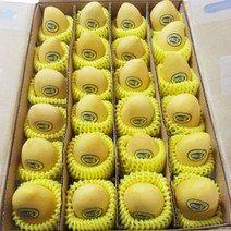 [더달] 필리핀 열대과일의 여왕 5kg(24과), 1box, 5kg