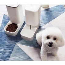 1+1 고양이 강아지 자율급식 자율 배식 자동 사료 급여기 반자동 급식기 애견 대형견 개밥, 화이트급수기, 화이트급식기