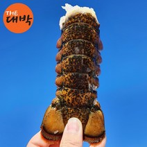 랍스터 테일 꼬리살 바닷가재 버터구이, 1box, 랍스터테일 3마리