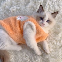 새코밍 귀여운 곰돌이 모양 커플룩 티셔츠 반려견 + 견주 세트, 파랑색