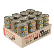 프로베스트 캣푸드캔 고양이간식, 24개, 연어