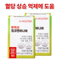 투액션 징코앤바나바 기억력 혈행 개선 혈당상승 억제 도움 바나바잎 은행잎 추출, 2박스(60정2개월)