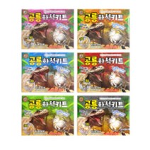 리얼 공룡 화석키트 뼈발굴 놀이 장난감 실험 학습, 공룡화석키트(12개)