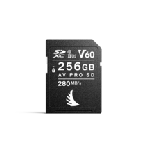 앤젤버드 V60 PRO SD MK2 메모리카드, 256GB