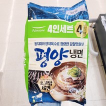 풀무원 평양 물냉면 1692g x 1개, 보냉백포장