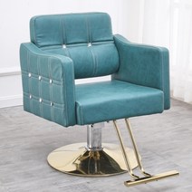 미용실 보조의자 전동미용실의자 스툴의자 미용실 시술의자 원목스툴 미용실의자 인테리어의자 미용기구 미용실 전동 의자 미용실 샴푸대 중고미용의자, 연노랑 6단 그린 골드 원반, 공식 표준 분배