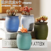 다육화분 다육이 심폴 화분 식물 미니 화분세트, 도자기, 옵션6