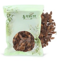 동의한재 자연산 국산 햇 도꼬마리 창이자 독고마리 600g, 1개