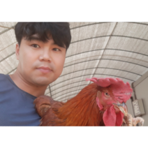 국내산 무염 닭염통 1kg (4구) 염통꼬치 닭 특수부위, 1개, (4구)염통꼬치(40개내외)/5팩