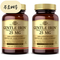 솔가 젠틀 철분 25mg 90캡슐 2통, 90정 2통, 2개, 90정