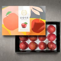 (더조은푸드) 명품 사과 선물세트 5kg, 명품 사과 선물세트 5kg(14과)