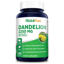 Dandelion Extract 민들레 5대1 추출물 2250mg 200캡슐