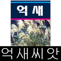 [워터트리몰] 채소 종자 재배 씨앗 억새참억새 씨앗 (1L) (A)