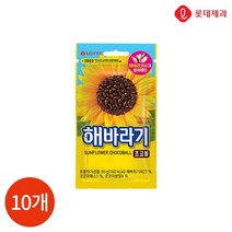 롯데 해바라기 초코볼 30g x 10개, 없음, 단일