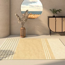발수건 규조트 규조토발매트 모던 미니멀리스트 거실 살구색 가정 일본 침실 침대 옆 사무실 서재 홈스테이 호텔 장식 러그, 142.13 - 300x400CM