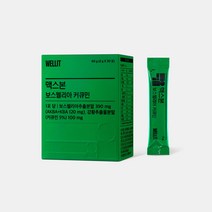 웰릿 맥스본 보스웰리아 고함량 커큐민 강황추출물 관절 연골 관리, 12box (12개월)