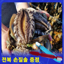 완도 전복 선물세트 특대 1kg 2kg 3kg 1박스, VVIP(선물용 BEST) 3kg 21미(마리)