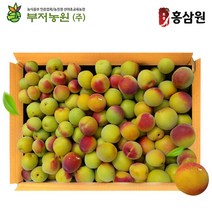 홍삼원 광양 유기농 홍매실 특상품 10kg 2박스 6월중순예약, 홍매실특상품 10kg 2박스 6월중순예약