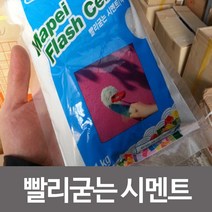 [모비딕컴퍼니] 황토 고정용시멘트 모르타르건 몰타르건 셀프보수재 고정시멘트 phiao, 잇★ 빨리굳는 시멘트 균열 보수 공사 미장 난간 집수리, 잇★ 시멘트-백색