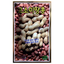 헬프팜 고소미땅콩 30g 씨앗 종자 KS종묘