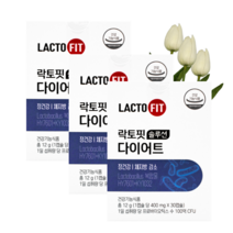 종근당건강 락토핏 솔루션 다이어트 30캡슐 3박스 유산균 체지방 감소, 3개