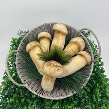 (경동버섯유통 송이 능이) 자연산 냉동 송이버섯 500g, L