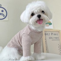 강아지 고양이 쫄쫄이 목폴라 티, 베이지
