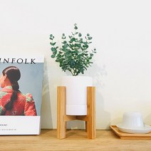 앙플랜트 우드스탠드 소품 공기정화식물 set, 유칼립투스소품/우드스탠드&화분set