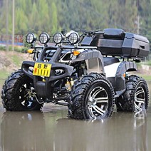 125cc ATV 오토바이 사륜 산악용 농업용 레저바이크, 리틀불 비치카 패키지 1 어린이 버전, 1개