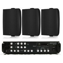 TANNOY DVS8 카페 고음질 8인치 스피커 RS45TD83 블랙