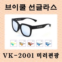 VKOOL 편광렌즈 선글라스 VK-2001 + 도수클립, 블랙 + 실버