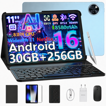 DOOGEE U11PRO 세트 버전 11인치 안드로이드 16 Gemini AI2.0 태블릿 30GB+256GB 2TB확장 5GWiFi 8580mAh 태블릿PC, 블루