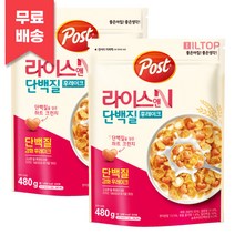 라이스앤 단백질 후레이크 시리얼 480g 2개, 라이스앤 단백질 후레이크 시리