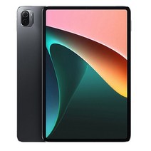 인강용태블릿 가성비 월드 프리미어 패드 5 프로 태블릿 안드로이드 11 인치 120Hz WQHD + 디스플레이 스냅, 02 12GB-512GB, 04 Silver