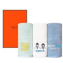 송월타올 대한민국 응원 수건세트 / 1매세트, 아이보리(힘내세요), 상세설명 참조