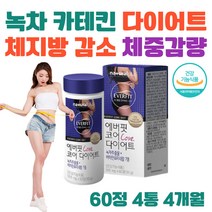 카테킨 녹차 다이어트 보조제 비타민B 티아민 피리독신 식약처인증 영양제 체지방 체중 뱃살 술살 허벅지살 빼는 방법 속편한 단기간 다이어트 추천 똥배 술배 탄수화물 컷팅제