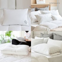 [소프라움] 베개솜 1+1 2장세트 모음 8type 구스 페더볼 경추 메모리폼, 04_항균 경추 베개솜 소형 2장, (MOS20AC41P61WHK+2)