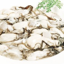 [푸르젠] 당일직송 수협경매 여수 생굴, 2kg(중), 1개
