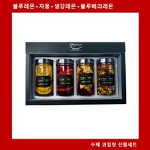TCb 수제청세트(블루레몬+자몽+생강레몬+블루베리레몬, 어맨로직스 1, 어맨로직스 본상품선택, 어맨로직스 본상품선택