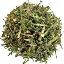 지리산한방식품 인진쑥(사철쑥 야생 건조300g) 동의보감촌 지리산약초 전문, 1봉, 300g