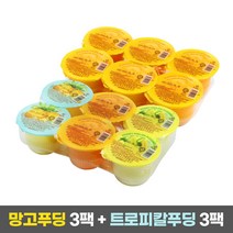 코쿤 오키오 푸딩 2종 세트 (망고푸딩 709g 3팩+트로피칼 푸딩 708g 3팩), 단품