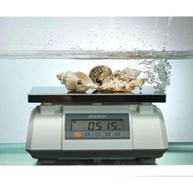 두홍 물방개 15kg 5g 단위 완전 방수 전자 저울