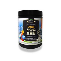 팔레오 고칼슘 산양유 프로틴 280g /kms, 상세페이지 참조, 상세페이지 참조