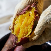 해남 무농약 세척 꿀고구마 베니하루카 황토 고구마 베로니카 황금 고구마 3kg 5kg 10kg, 대